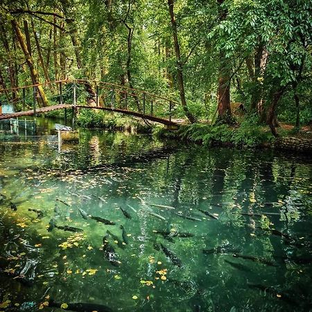 Янтарная Форель Bushtyno Exteriér fotografie