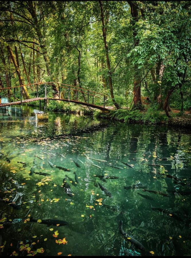 Янтарная Форель Bushtyno Exteriér fotografie